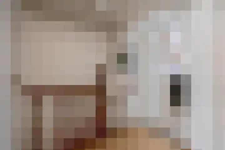 van Solmsstraat 1 Zevenbergen thumbnail 28