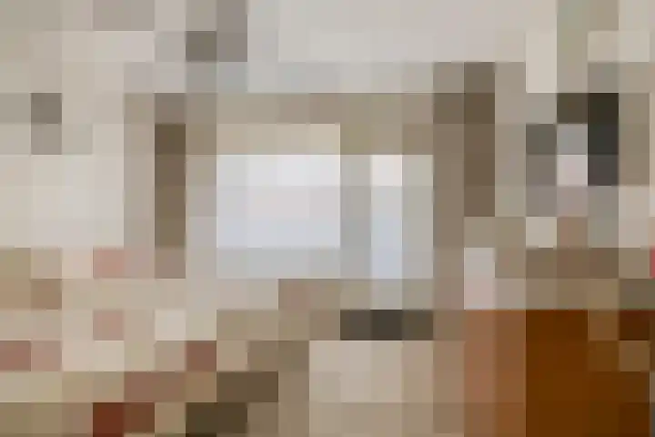 van Solmsstraat 1 Zevenbergen thumbnail 29