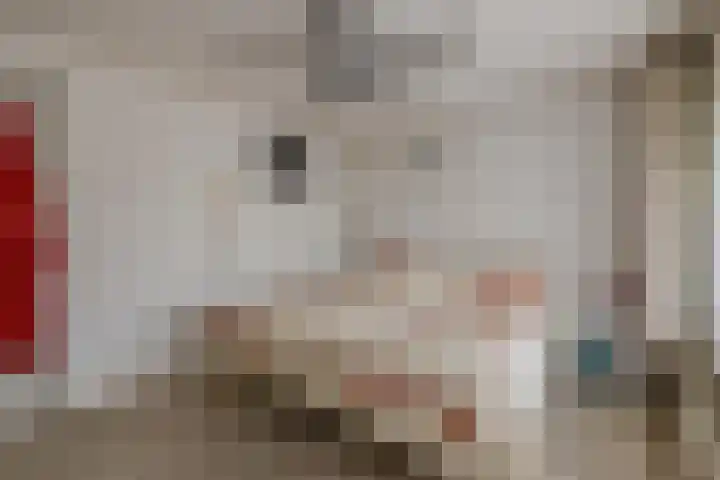 van Solmsstraat 1 Zevenbergen thumbnail 30