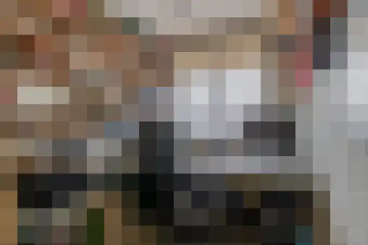 van Solmsstraat 1 Zevenbergen thumbnail 37