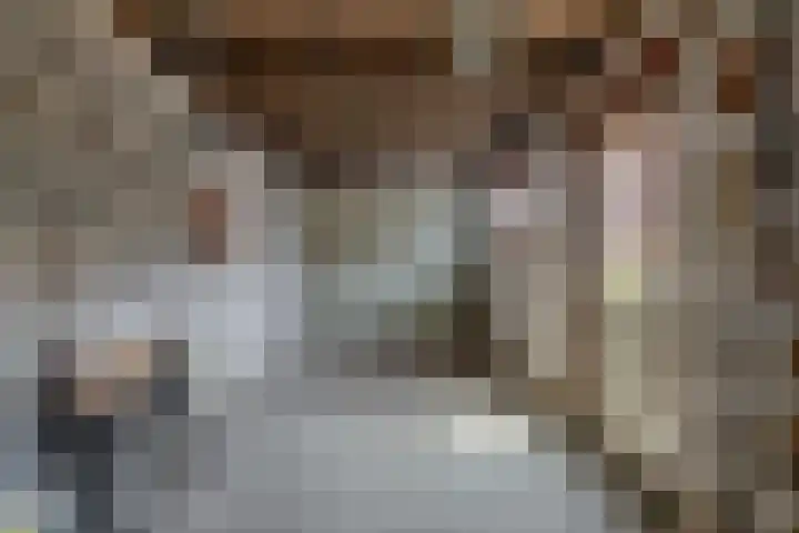 van Solmsstraat 1 Zevenbergen thumbnail 40