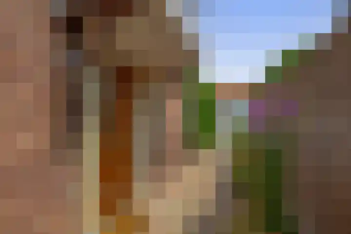 van Solmsstraat 1 Zevenbergen thumbnail 6