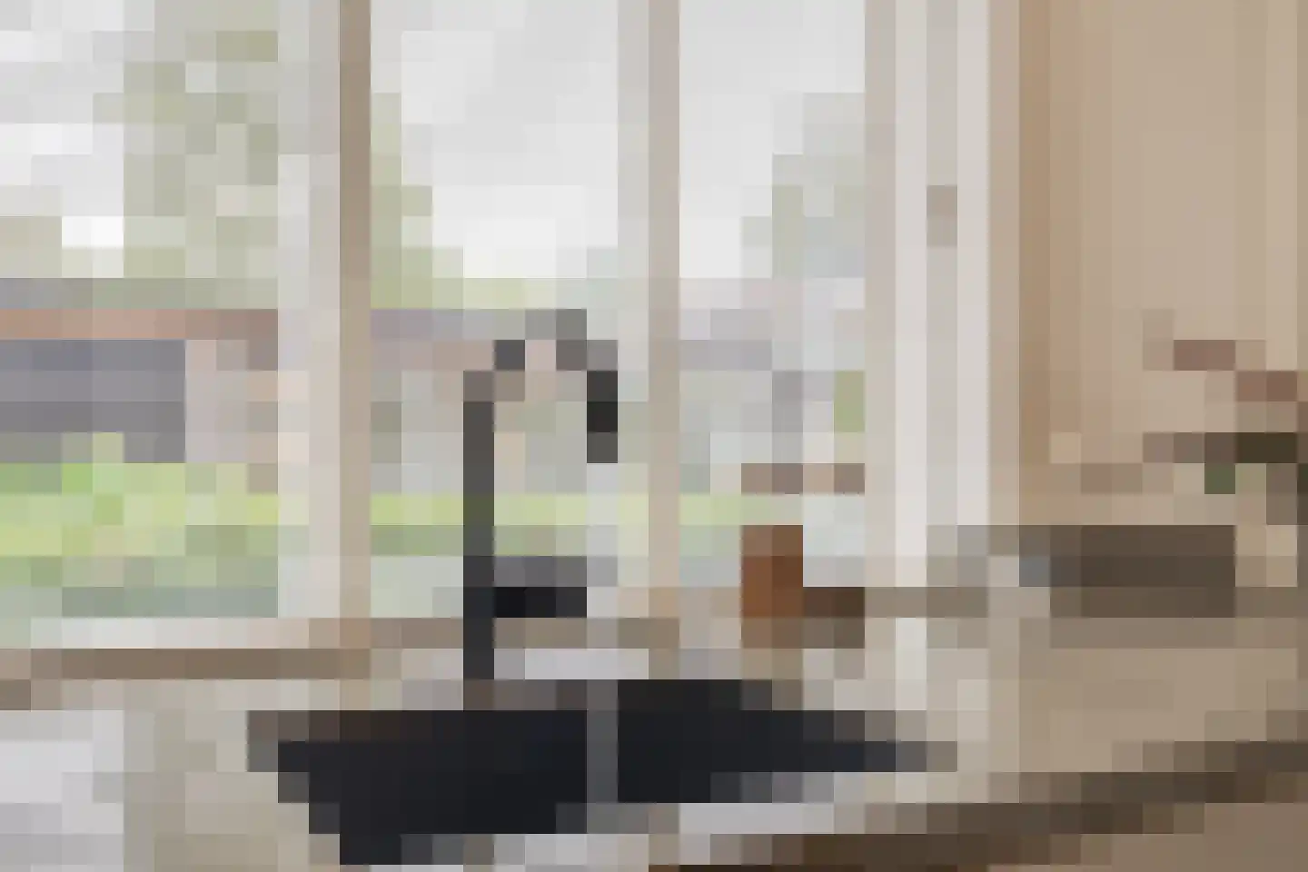 Van Solmsstraat 15 Apeldoorn thumbnail 15