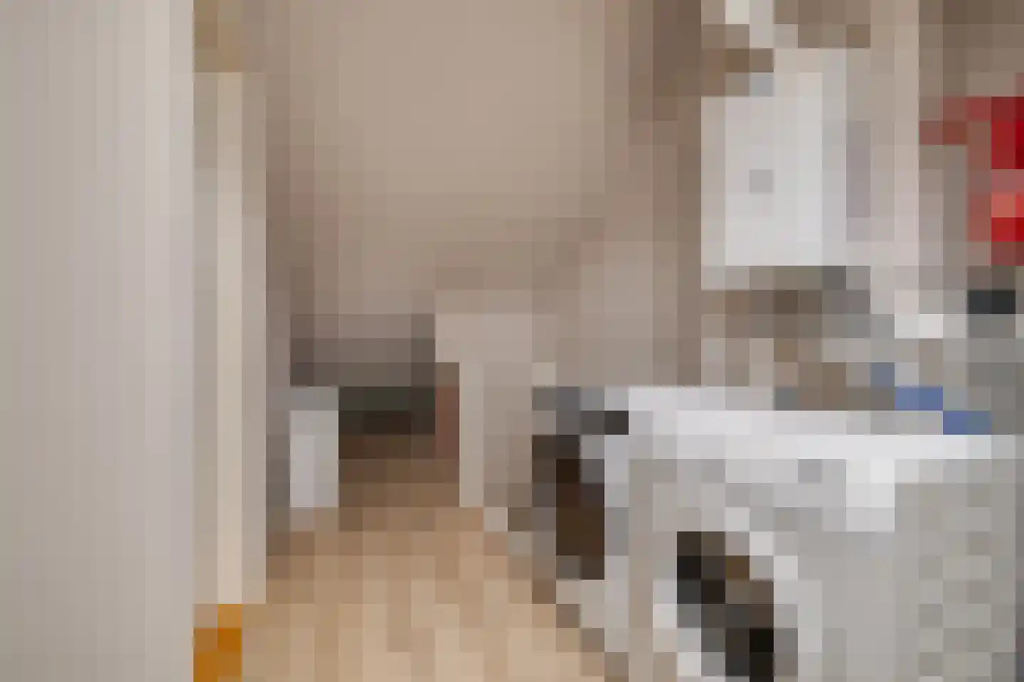 Van Solmsstraat 15 Apeldoorn thumbnail 29