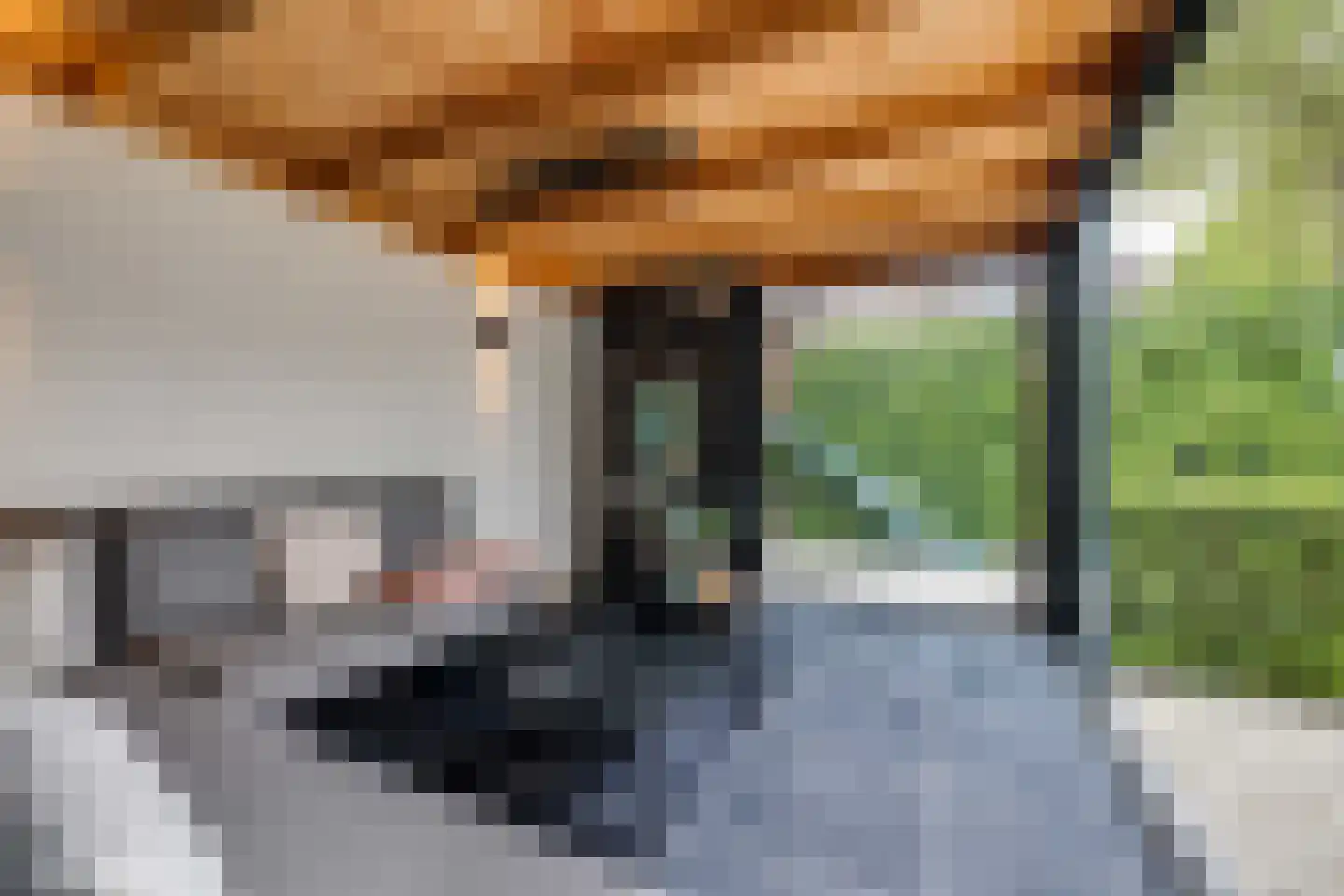Van Solmsstraat 15 Apeldoorn thumbnail 39