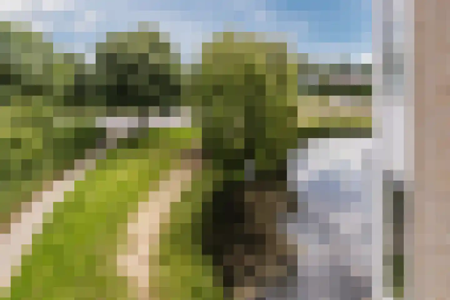 Van Someren-Downerlaan 102 Oosterhout thumbnail 29
