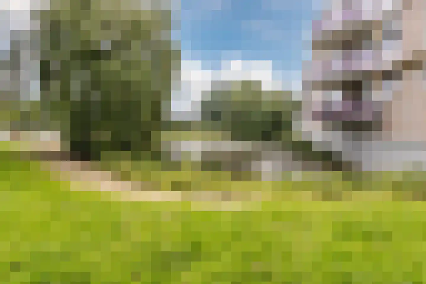 Van Someren-Downerlaan 102 Oosterhout thumbnail 38