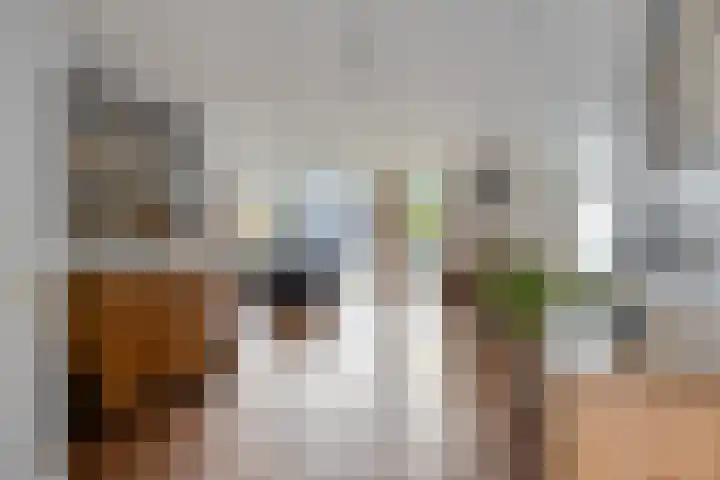 Van Someren-Downerlaan 116 Oosterhout thumbnail 7