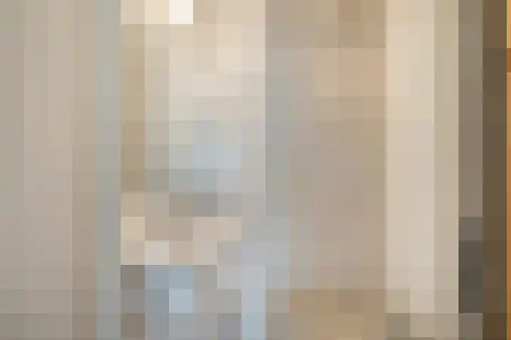 Van Someren-Downerlaan 60 Oosterhout thumbnail 22
