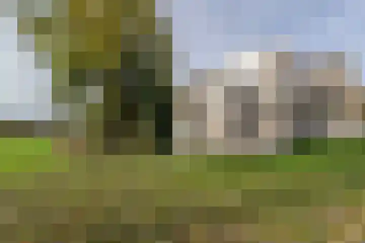 Van Someren-Downerlaan 60 Oosterhout thumbnail 30