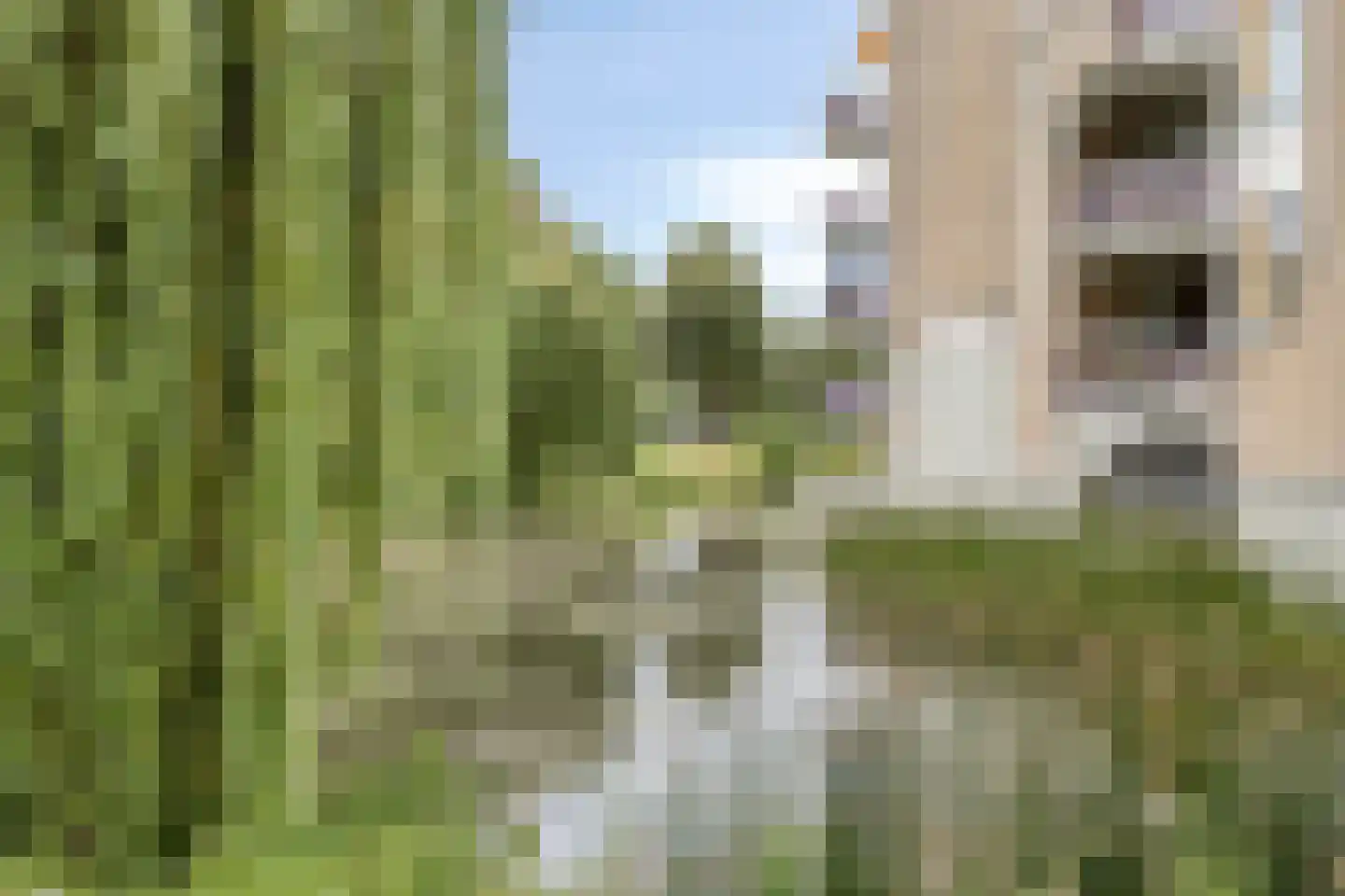 Van Someren-Downerlaan 90 Oosterhout thumbnail 34