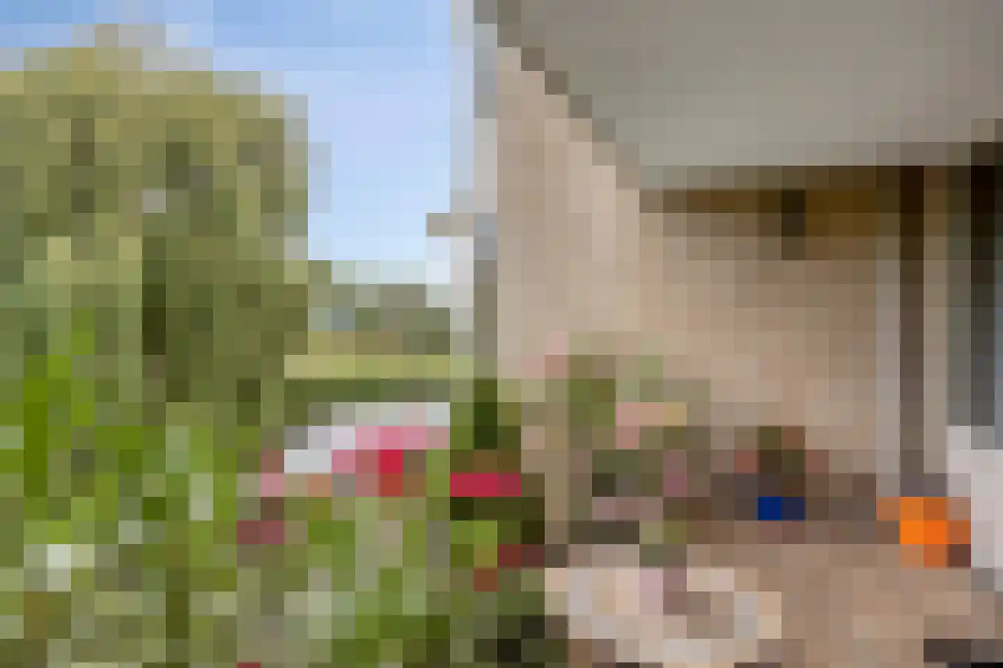Van Someren-Downerlaan 90 Oosterhout thumbnail 4