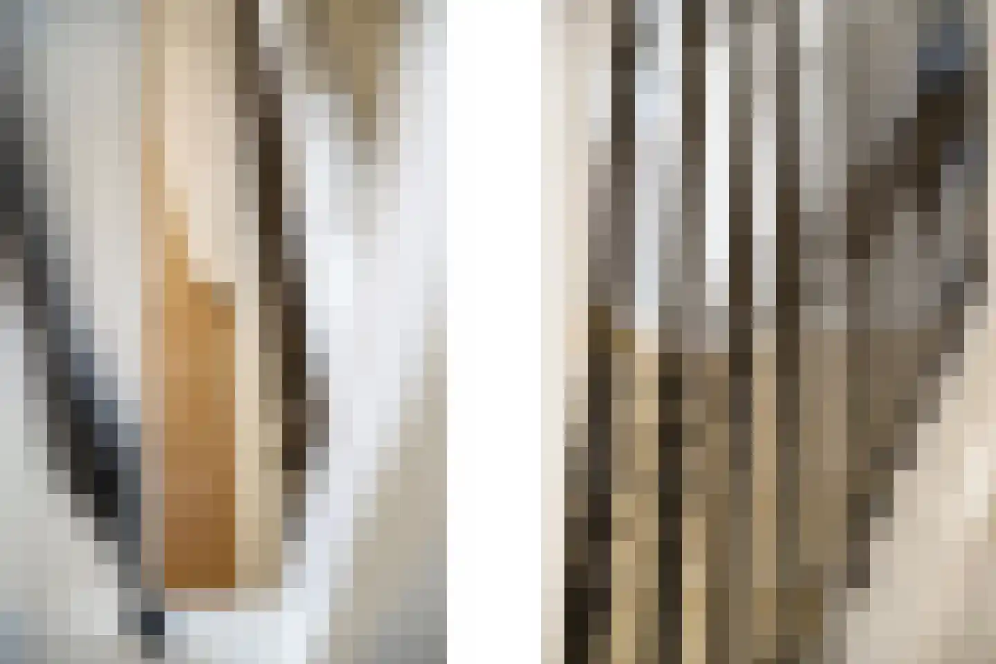 Van Somerenstraat 1 Rotterdam thumbnail 17