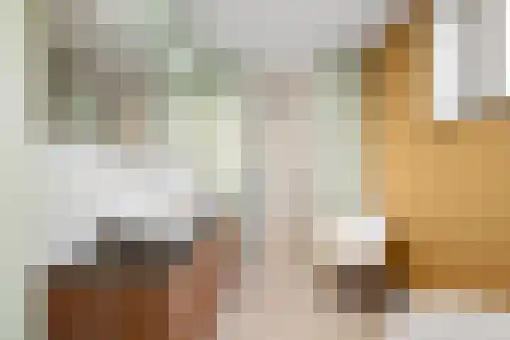 Van Somerenstraat 1 Rotterdam thumbnail 20