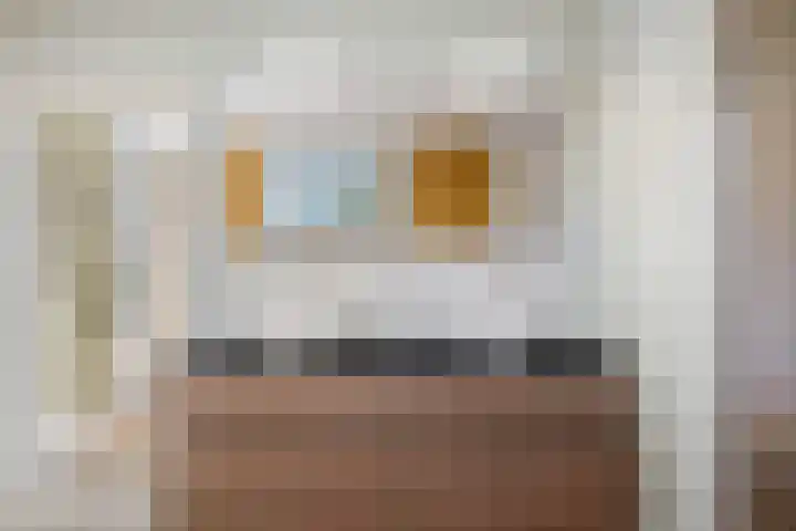 Van Somerenstraat 1 Rotterdam thumbnail 21