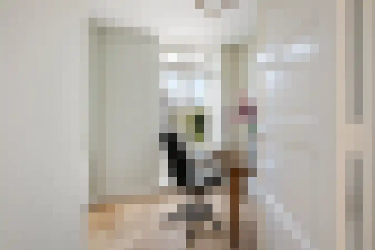 Van Somerenstraat 1 Rotterdam thumbnail 27