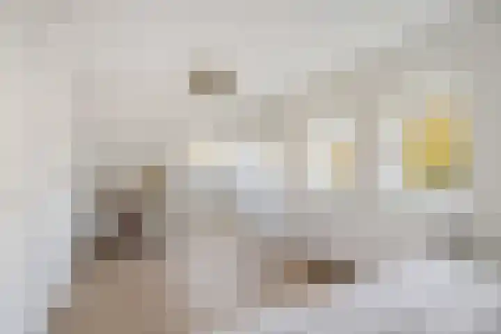 Van Somerenstraat 1 Rotterdam thumbnail 29