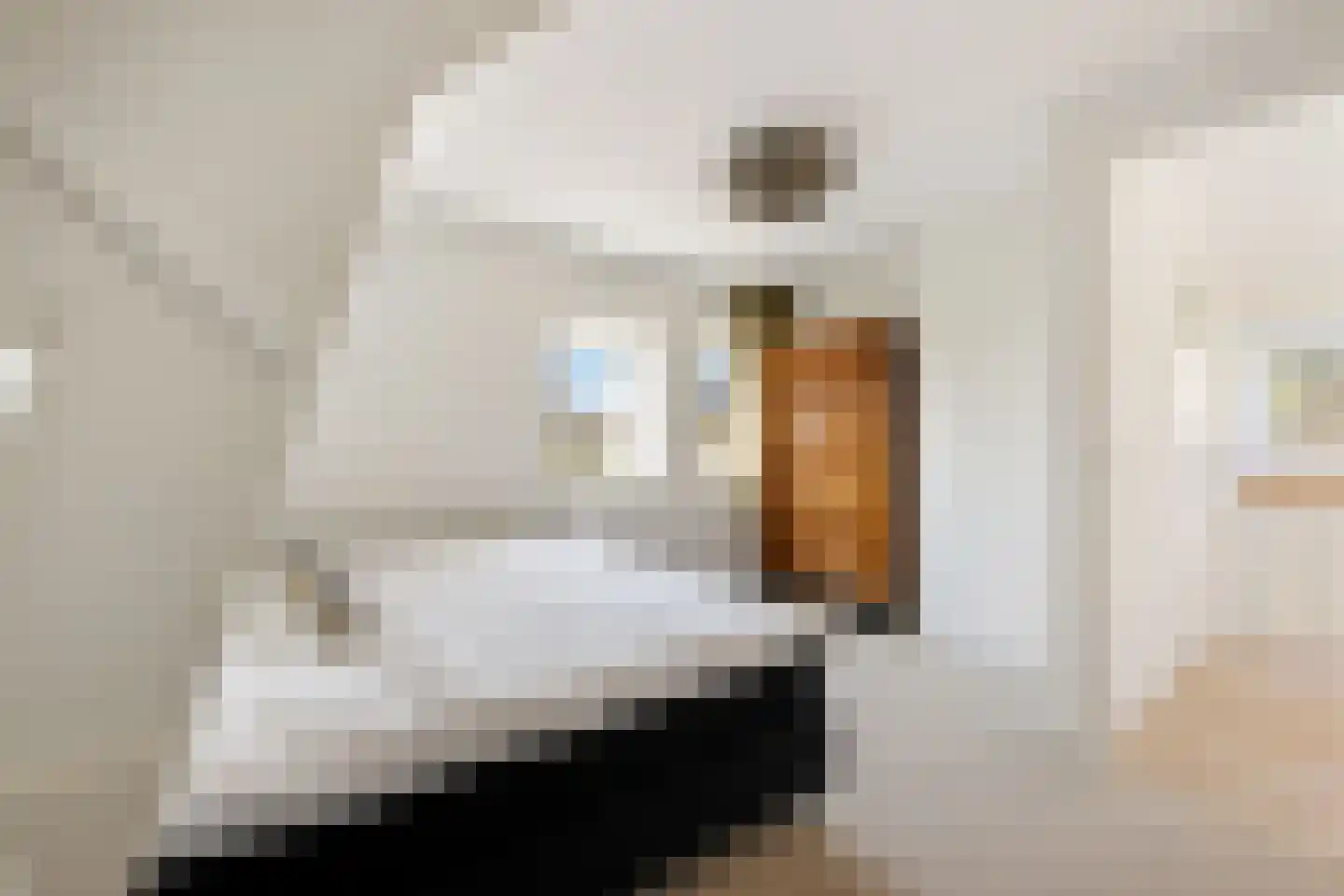 Van Somerenstraat 1 Rotterdam thumbnail 34