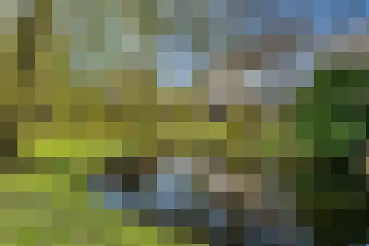 Van Somerenstraat 1 Rotterdam thumbnail 39