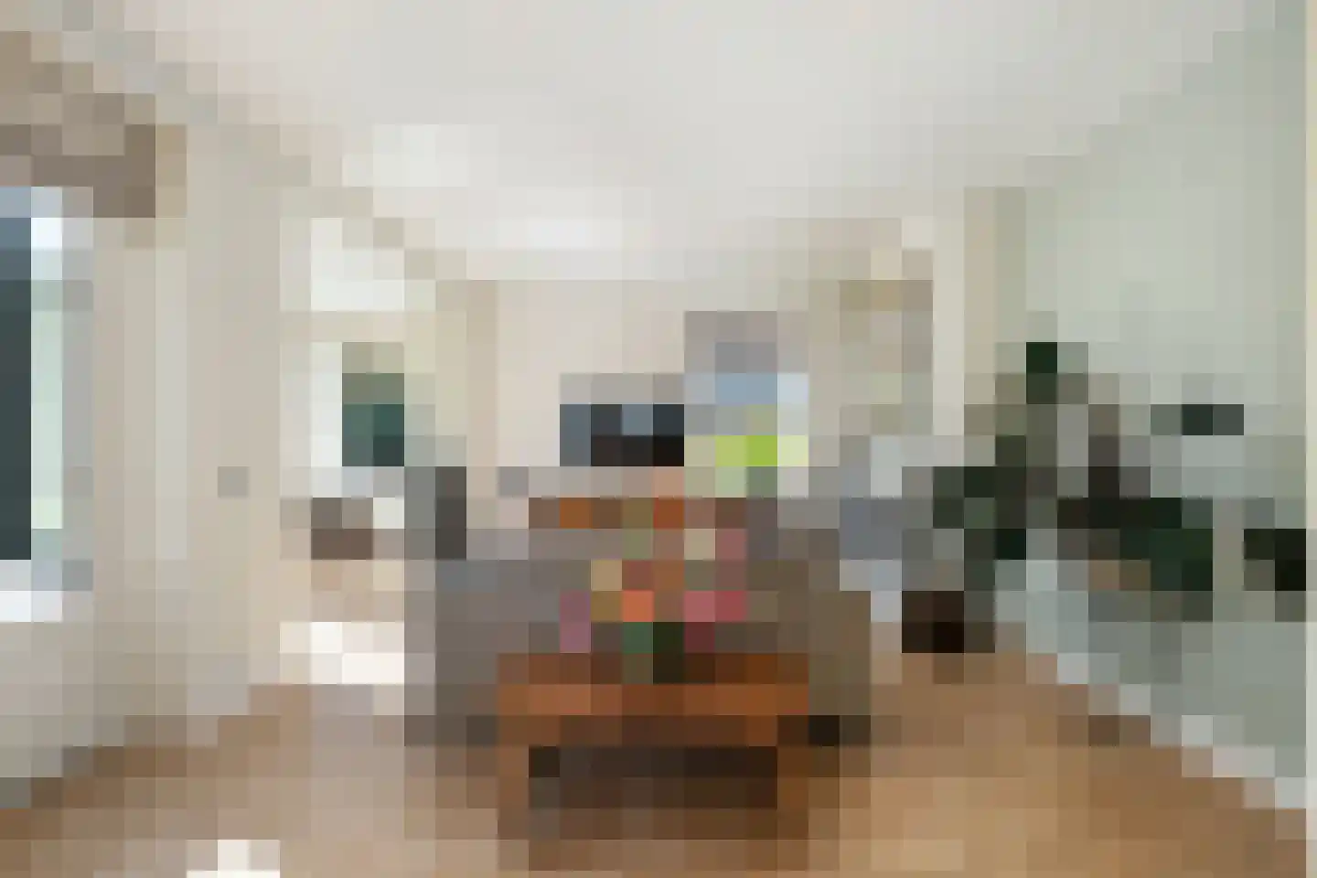 Van Somerenstraat 1 Rotterdam thumbnail 4