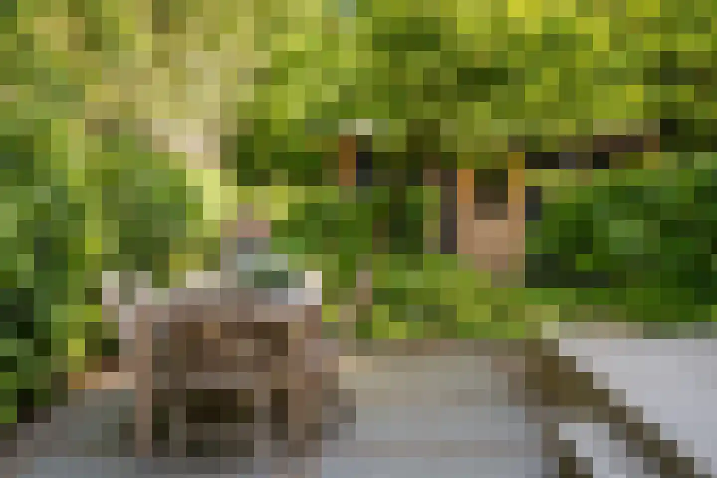 Van Somerenstraat 1 Rotterdam thumbnail 41