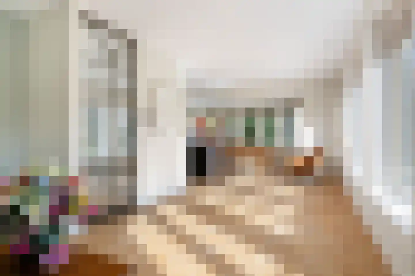Van Somerenstraat 1 Rotterdam thumbnail 9