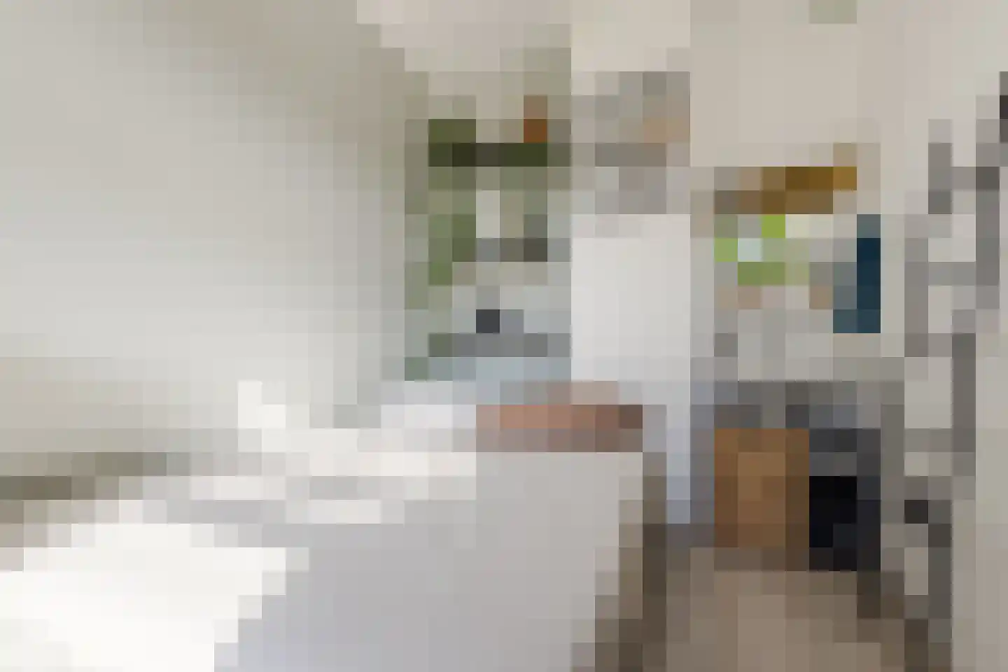 van Somerenstraat 2 A Nijmegen thumbnail 11