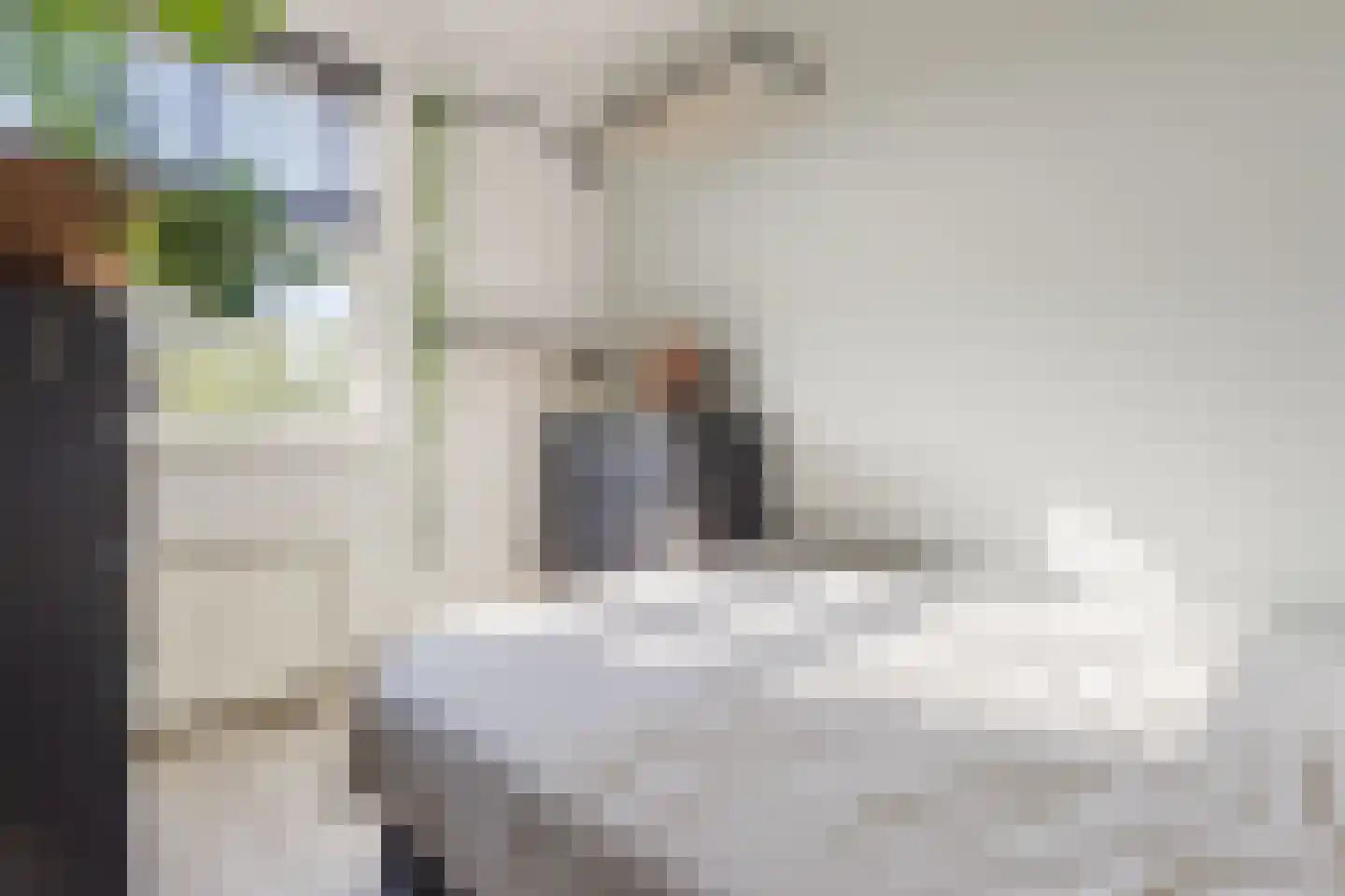 van Somerenstraat 2 A Nijmegen thumbnail 4