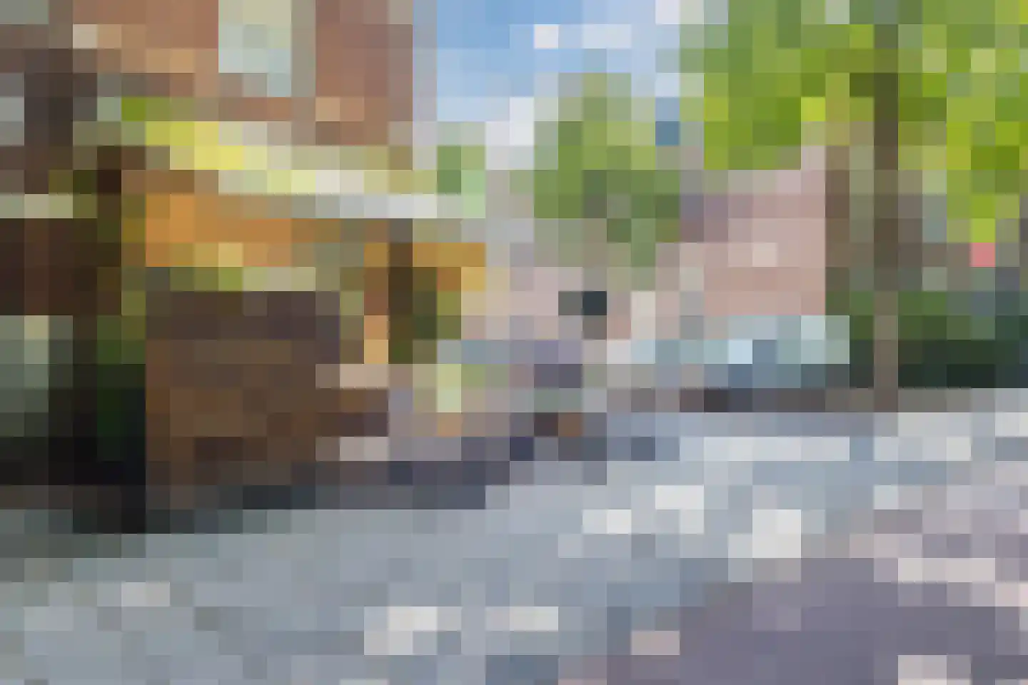 van Somerenstraat 2 Nijmegen thumbnail 15