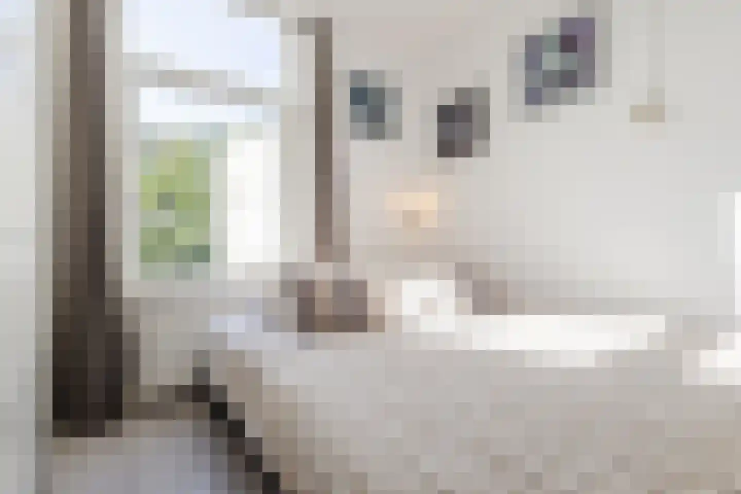 van Somerenstraat 2 Nijmegen thumbnail 4