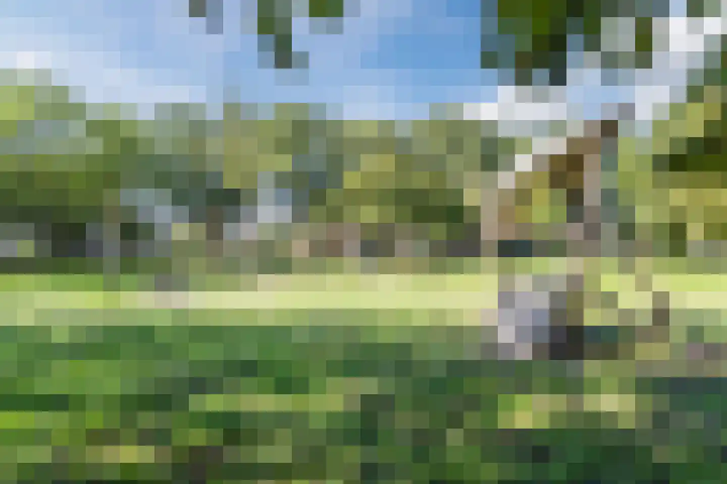 van Somerenstraat 2 Nijmegen thumbnail 5