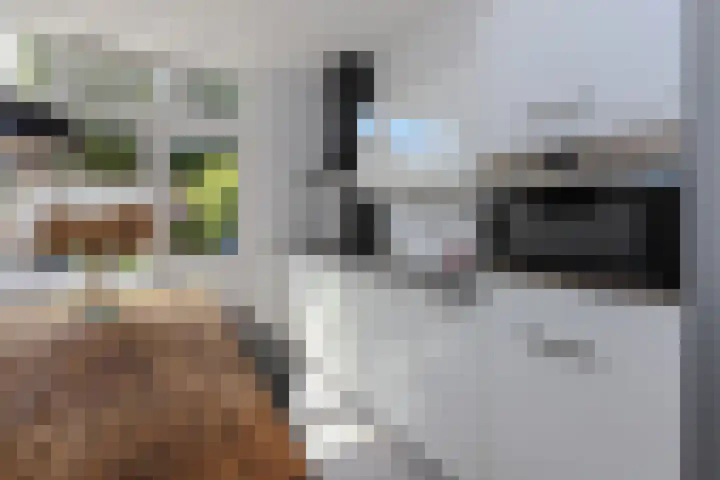van Somerenstraat 6 Nijmegen thumbnail 10
