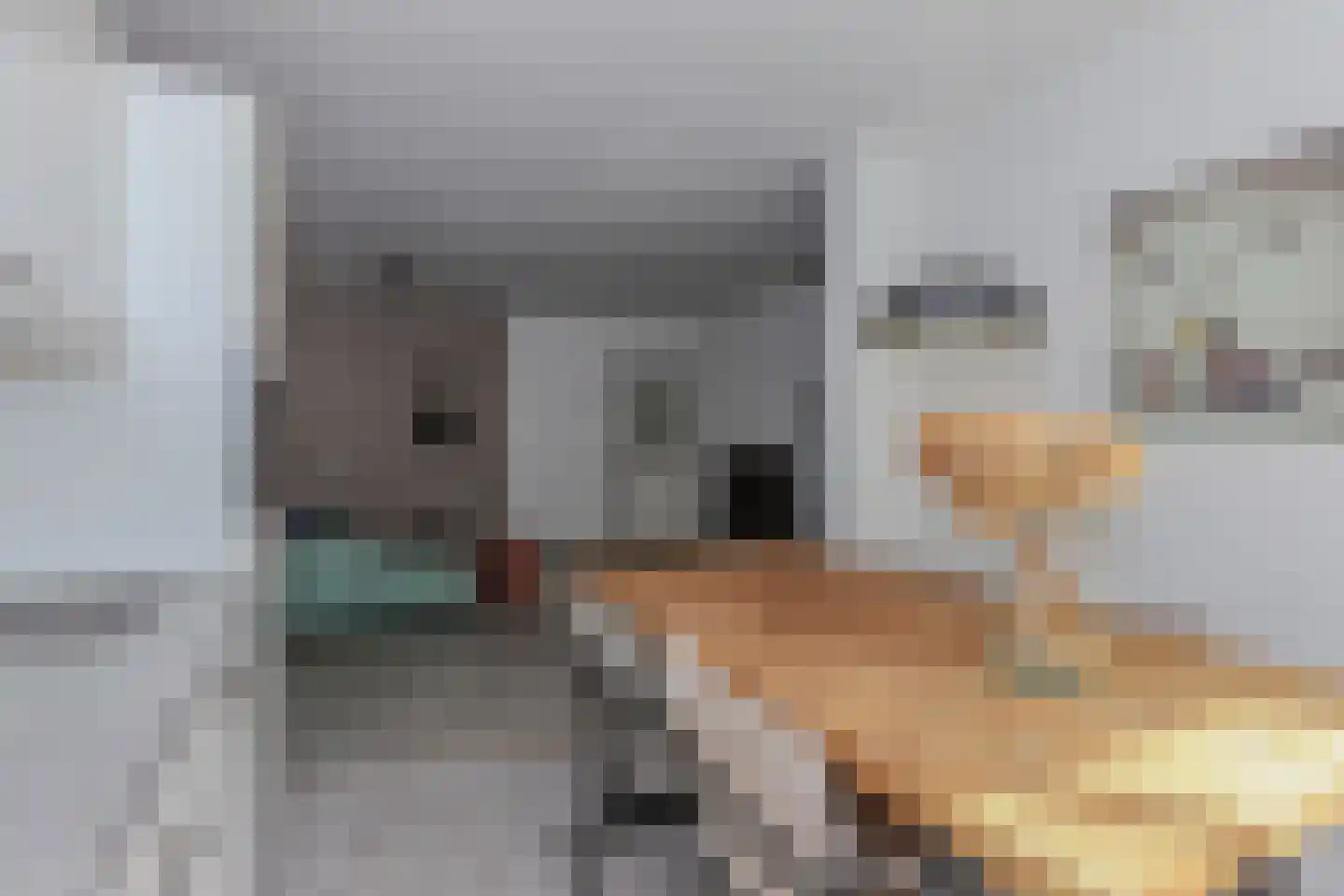 van Somerenstraat 6 Nijmegen thumbnail 12