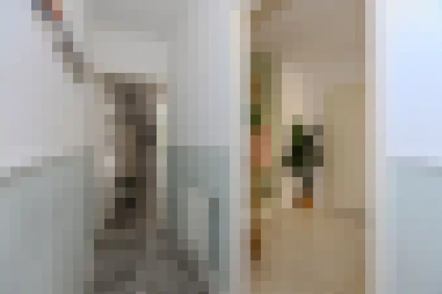 van Somerenstraat 6 Nijmegen thumbnail 14