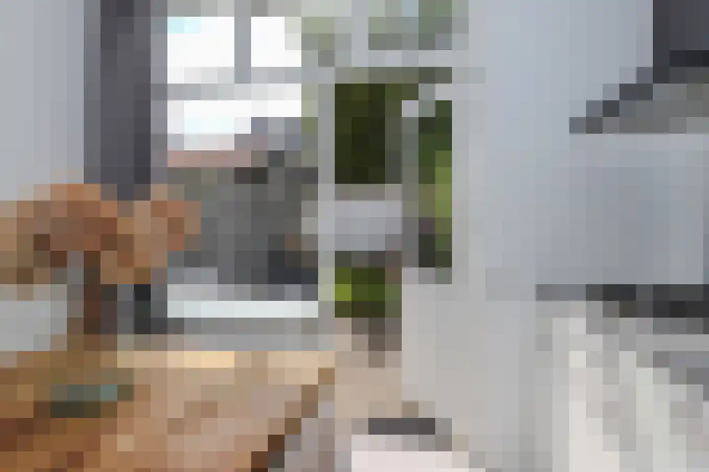 van Somerenstraat 6 Nijmegen thumbnail 22