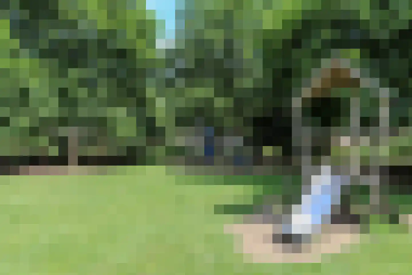 van Somerenstraat 6 Nijmegen thumbnail 31