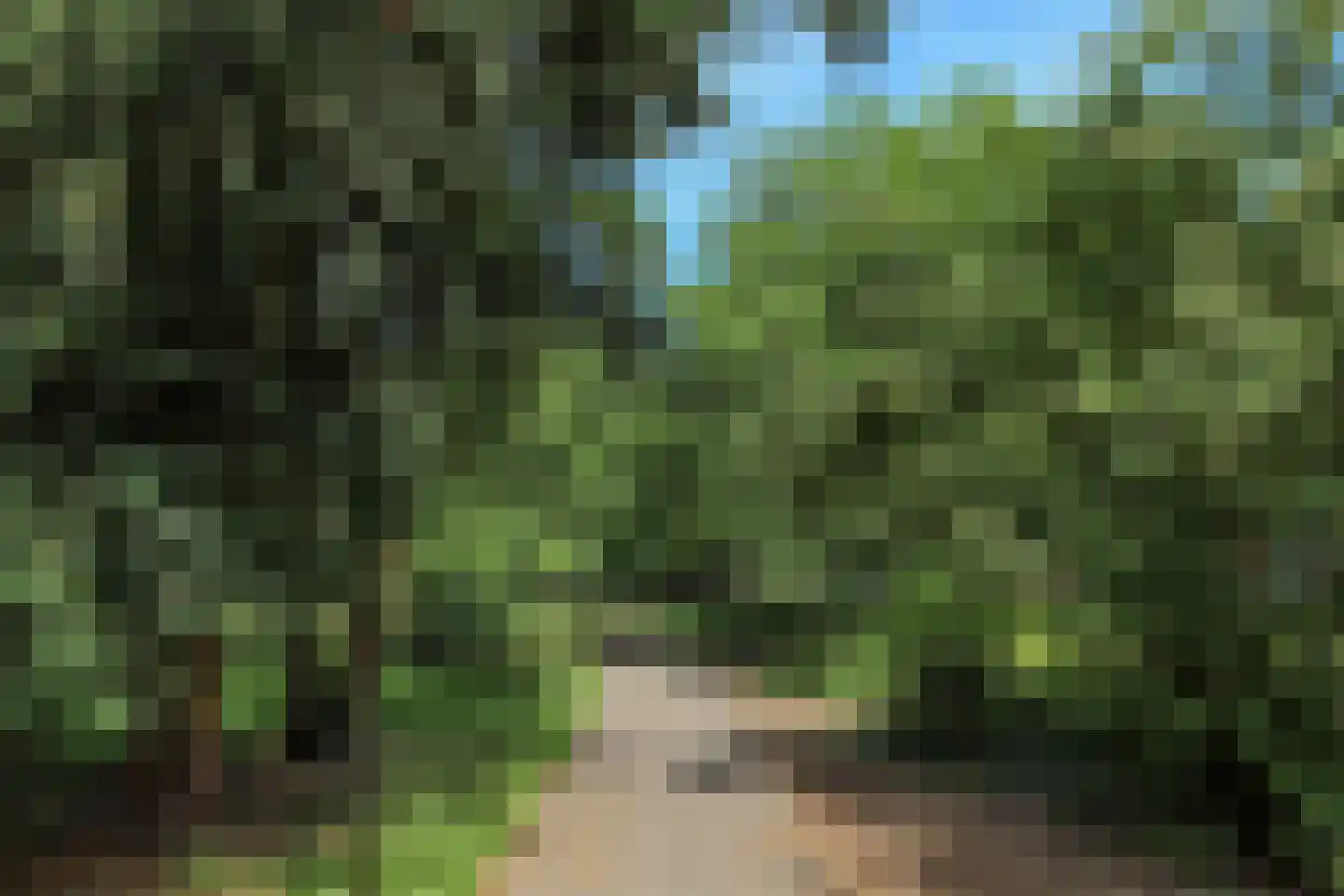 van Somerenstraat 6 Nijmegen thumbnail 32