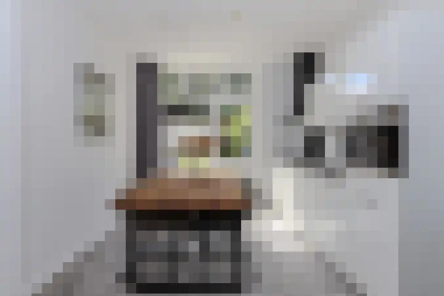 van Somerenstraat 6 Nijmegen thumbnail 7