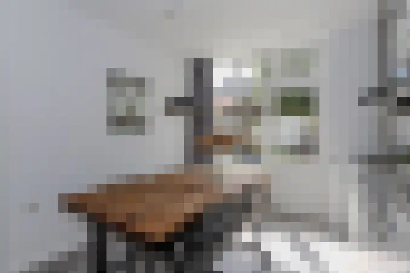 van Somerenstraat 6 Nijmegen thumbnail 8