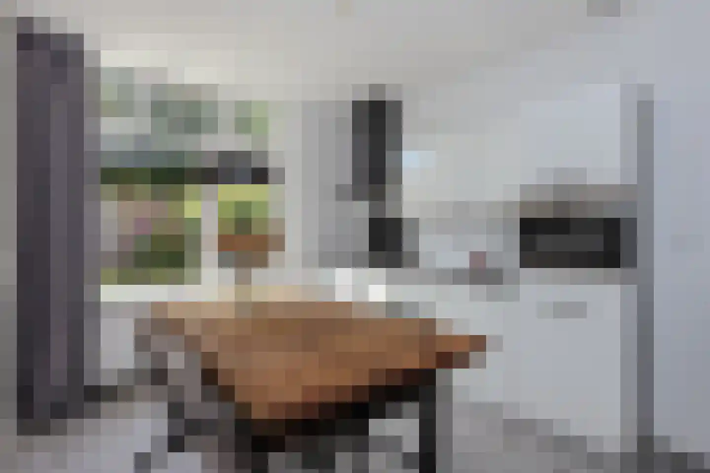 van Somerenstraat 6 Nijmegen thumbnail 9