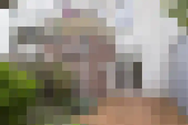 van Somerenstraat 8 Nijmegen thumbnail 17