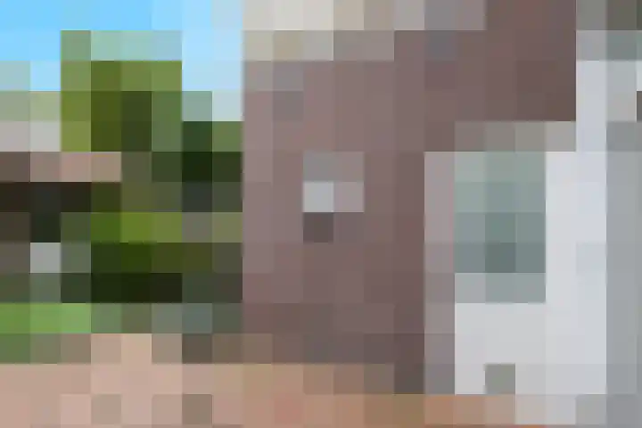 van Somerenstraat 8 Nijmegen thumbnail 18