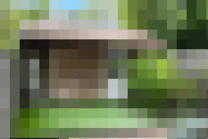 van Somerenstraat 8 Nijmegen thumbnail 19