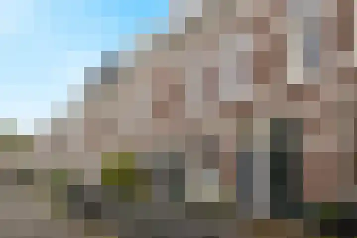 van Somerenstraat 8 Nijmegen thumbnail 22