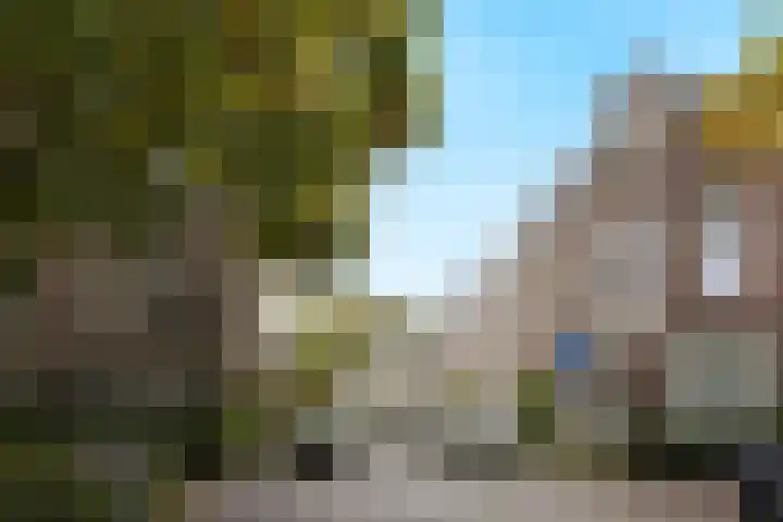 van Somerenstraat 8 Nijmegen thumbnail 24