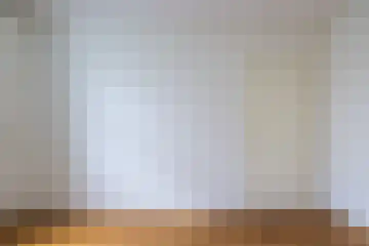 van Somerenstraat 8 Nijmegen thumbnail 8