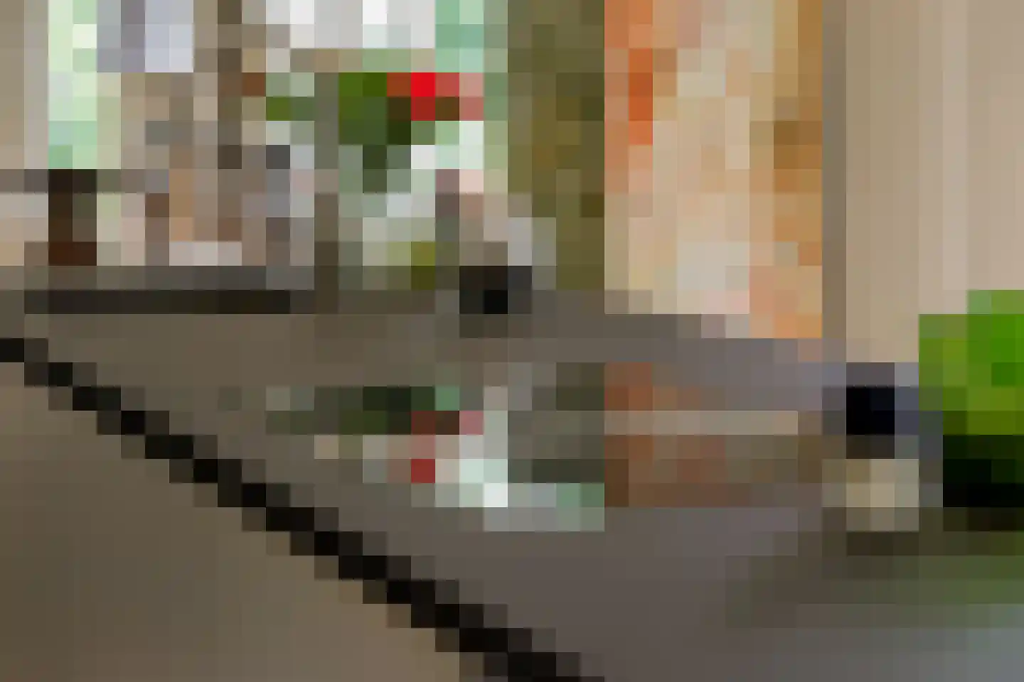 Van Somerenweg 39 Rotterdam thumbnail 16