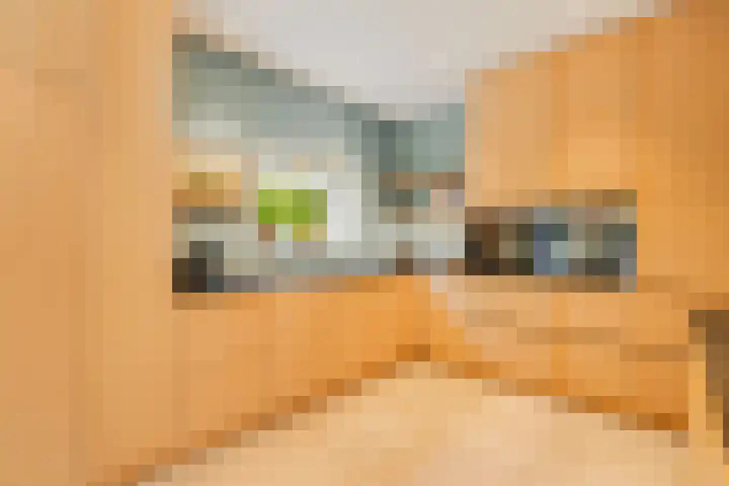 Van Somerenweg 39 Rotterdam thumbnail 18