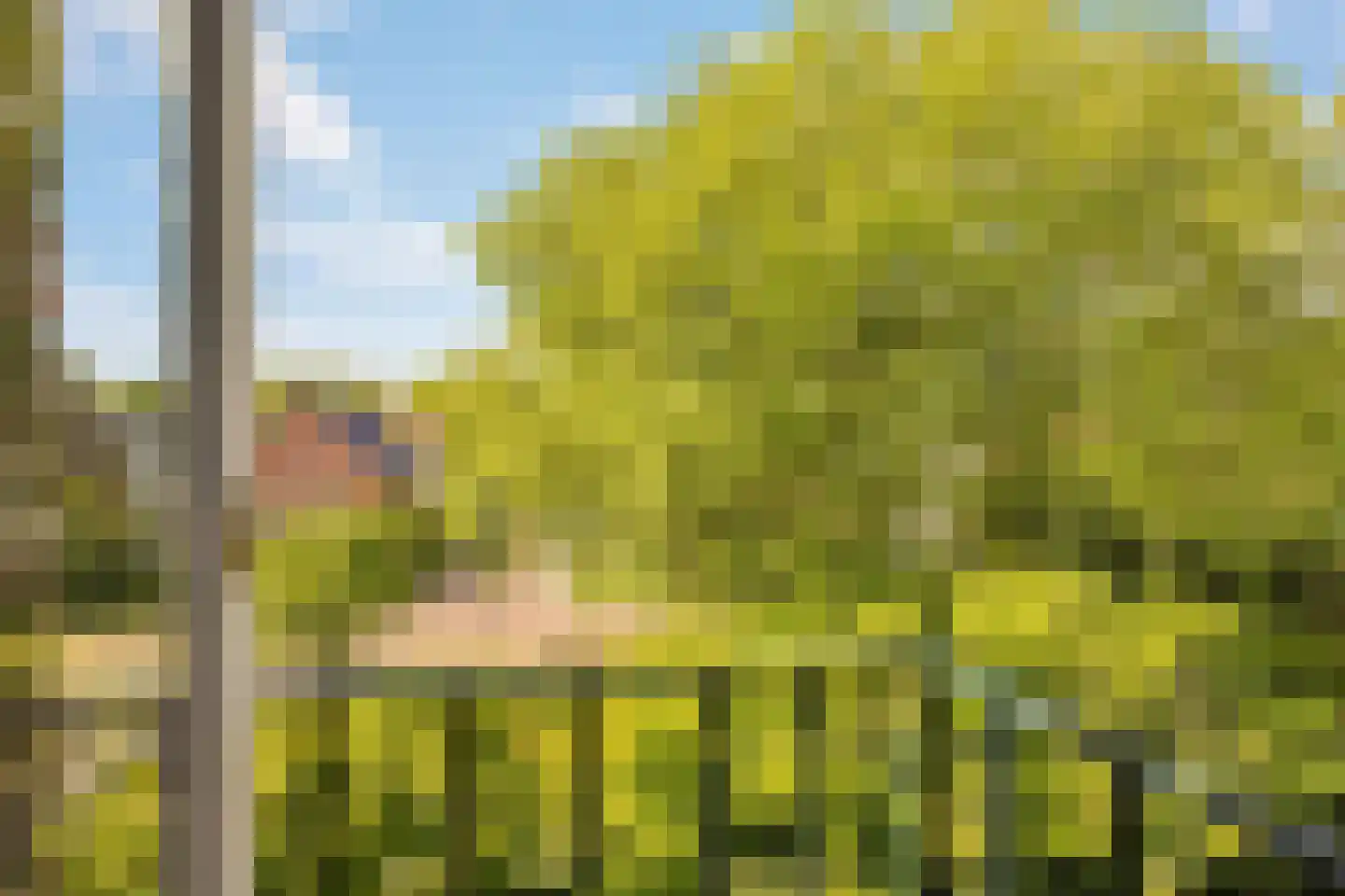Van Somerenweg 39 Rotterdam thumbnail 43
