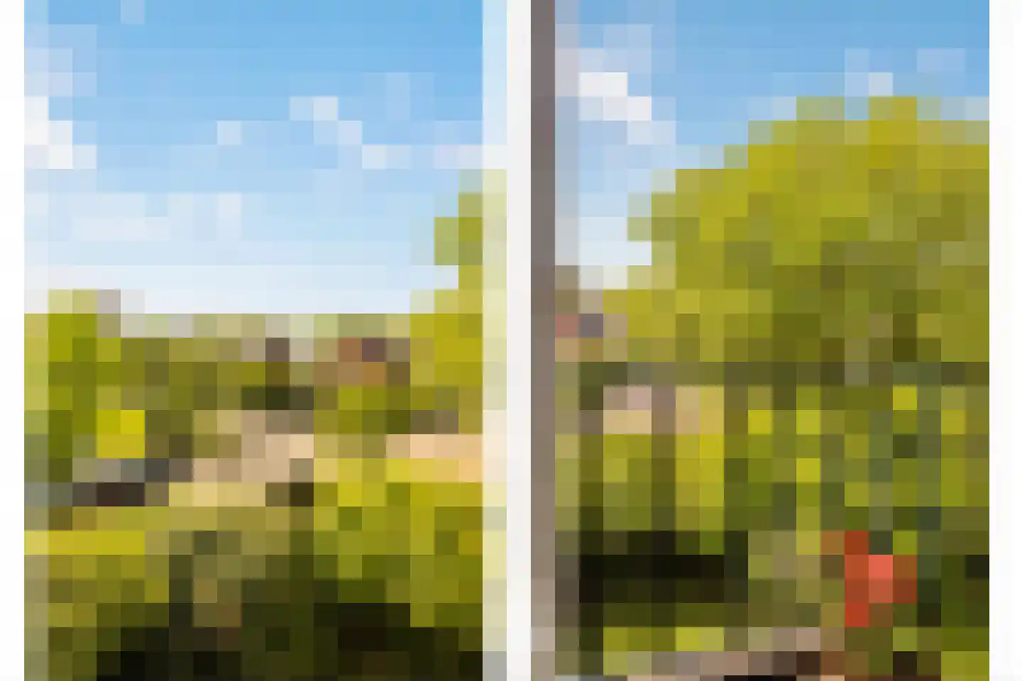 Van Somerenweg 39 Rotterdam thumbnail 44